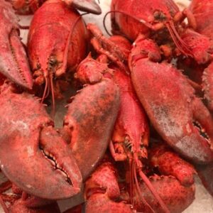 Close-up of vibrant red lobsters on ice, showcasing seafood freshness and market display.