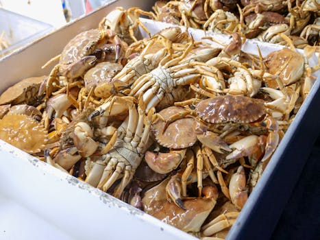 Close-up of fresh crabs in a tray ready for sale at a seafood market.